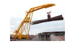 Fulghum - 100` Radial Log Cranes