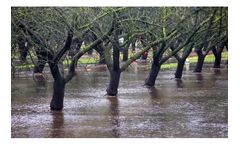 Groundwater Infiltration and Recharge Services