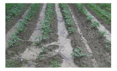 Erosion and Sediment Control Services