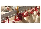 Cumberland - Model HH2O - Watering Systems