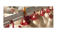Cumberland - Model HH2O - Watering Systems