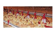 Model HI-LO - Pan Feeding