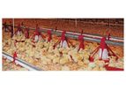 Cumberland - Model PRO-1 - Broiler Pan Feeder