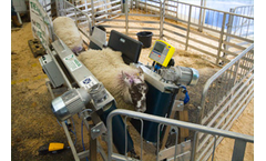 DM Handling - Conveyor System