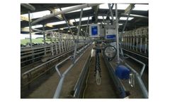 Herringbone Milking Systems
