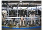 Rotary Milking Systems