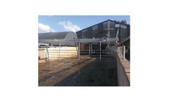 Yard Backing Gate for Milking Parlours