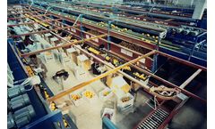 Kalepan - Fresh Citrus & Potato Processing Plants