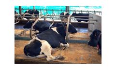 Smart Mat - Smart and Connected Cow Mattress