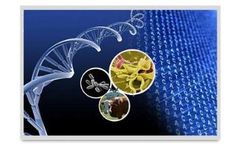 ArrayGen - Gene Expression Arrays