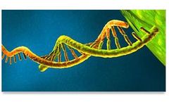 MicroRNAs Service