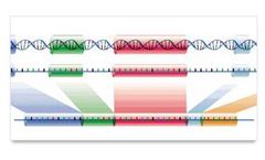 Alternative Splicing Services