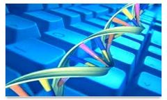 Bioinformatics Services