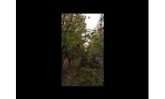 Fruit Tree Pruners : Cosmos Range - Coup`eco - Video