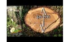 Pruning Demonstration - Saw Head 600 Synchronized - Coup`eco - Video