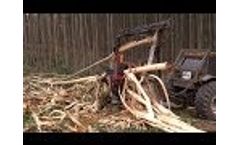 HYPRO 765 HB Processor Debarking Eucalyptus Video