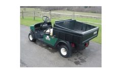 EzGo - Model 2wd - Petrol Utility Truck