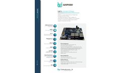 WiiPiiDo - Brochure