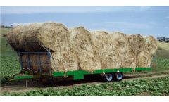 Bellucci & Rossini - Model BR - Flatbed Tandem Trailer