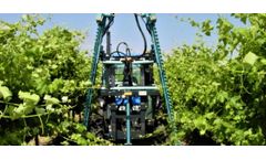 Ledgard - Green Trimmer- Viticulture