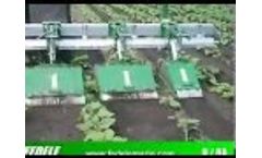 INTERFILARE - Model R - Multiple Inter Row Milling Machine Video