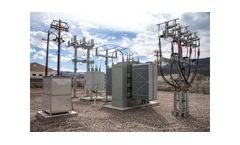 Wellons - Efficient Wood Waste Cogeneration Systems