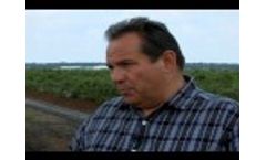 Lanco Manufacturing Row Mulcher - Video