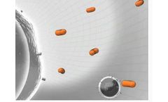 Clinical Immunology and Intensive Care Medicine for Antibody Deficiency