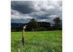 Van Diemens - Irrigation System for Pasture and Cropping