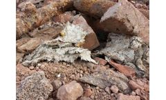 Asbestos Management Services