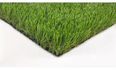Forest Group - Model CSS - Landscape Grass