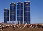 Feed Storage Structure