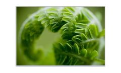 NEPA / CEQA for Environmental Assessments (EAs)