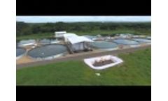 Fish Breeding Project Video