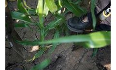 Soil Testing Services