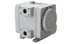 Quantum - Model DDQ 1 Inch - 0-313 - Diaphragm Pump