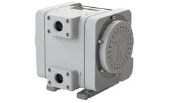 Quantum - Model DDQ 1 Inch - 0-321 - Diaphragm Pump
