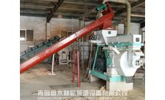 Biomass Pellets