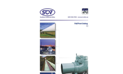 Model API 6D - Full Port Swing Check Valves Datasheet