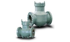 SCV - Model API 6D - Piston Check Valves