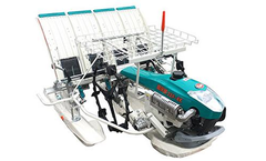 FLW - Model 2ZG-6DK - Walk Behind Rice Transplanter
