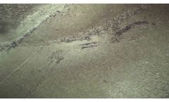 Voyager C50 HD Video Borescope Footage - Video