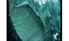 Rigid Borescope Industrial Inspection Video Sample - Video