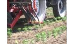 Badalini Fertilizer Distributor - Video