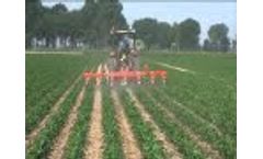 Badalini Inter Row Cultivator Maia Video