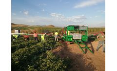 Argiles - Model AFH5 - Self-Propelled Melon Harvester Machine