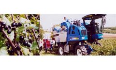 Berry Harvesting Service