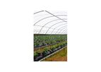 Haygrove - Single Row Substrate System