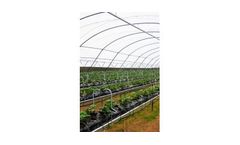 Haygrove - Single Row Substrate System