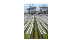 Haygrove - Double Row Substrate System